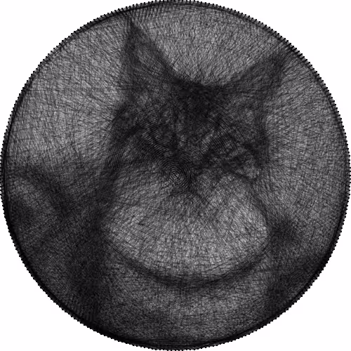 Chat